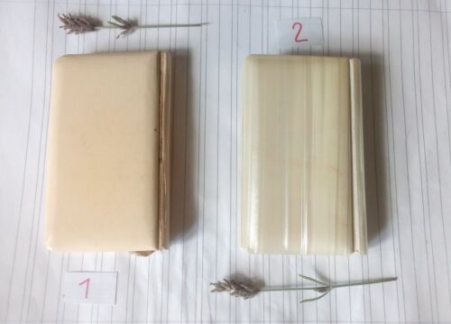 2 piccoli libri, manualetto di preghiere, rivestimento madreperla celluloide